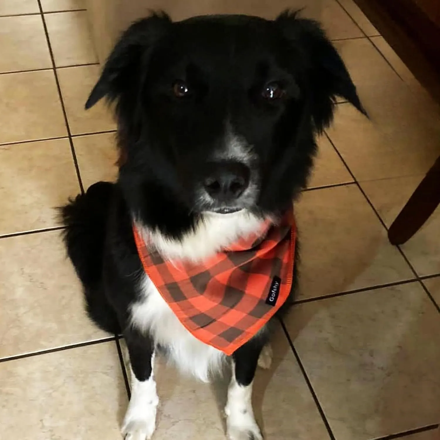 Dog Bandana Fall Small-Orange Brown Dog Scarf Buffalo Plaid Printing Adjustable Bib Handkerchief Accessories for Small Dogs Cats (S)