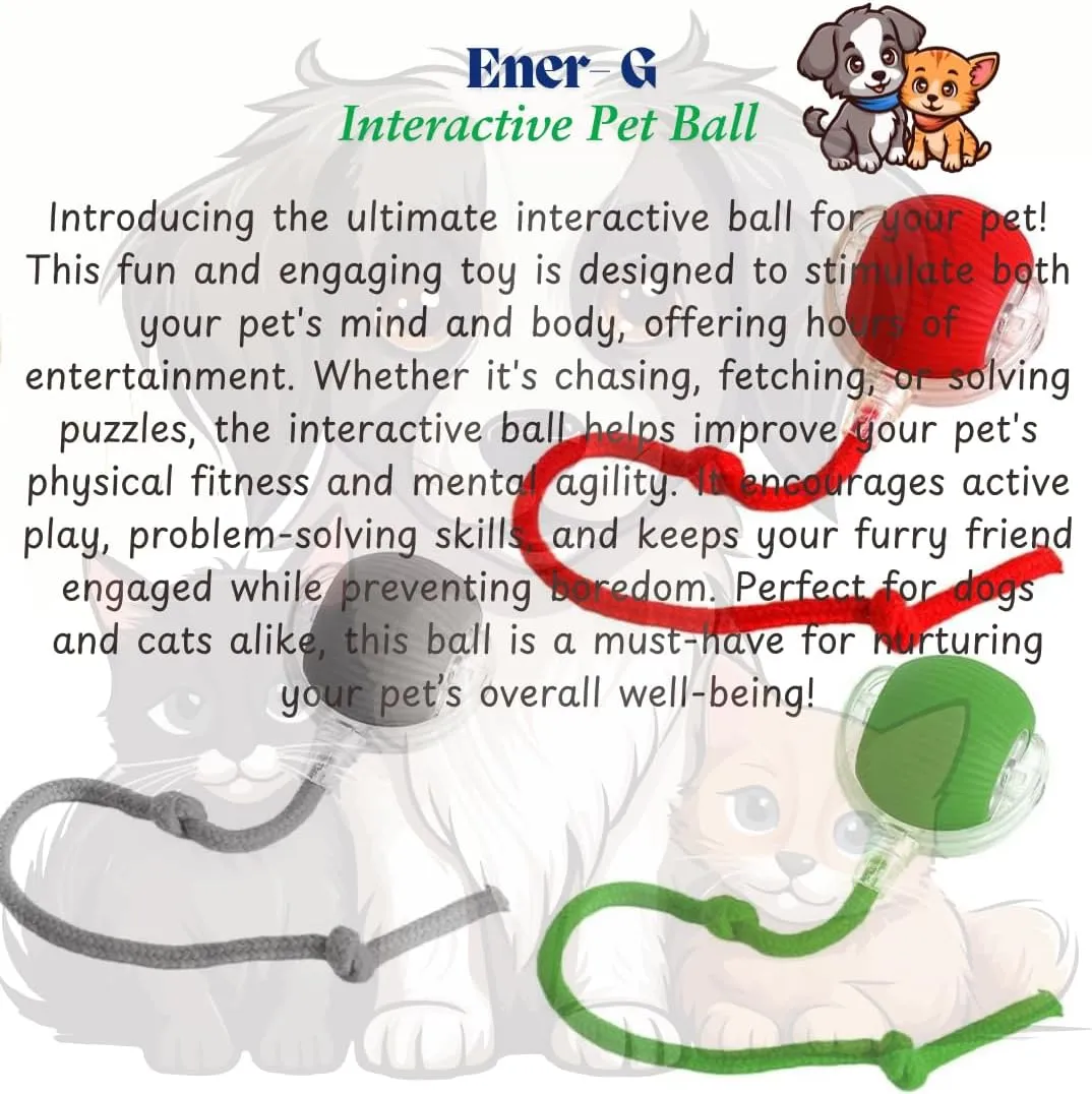 Interactive Electric Automatic Rolling Moving Rechargeable Self Play Stimulation Toy,Smart Pet Chase Ball with Speedy Tail Rope for Bored Indoor Cats enrichment,stimulating Dogs toy(Small Dogs)(Grey)