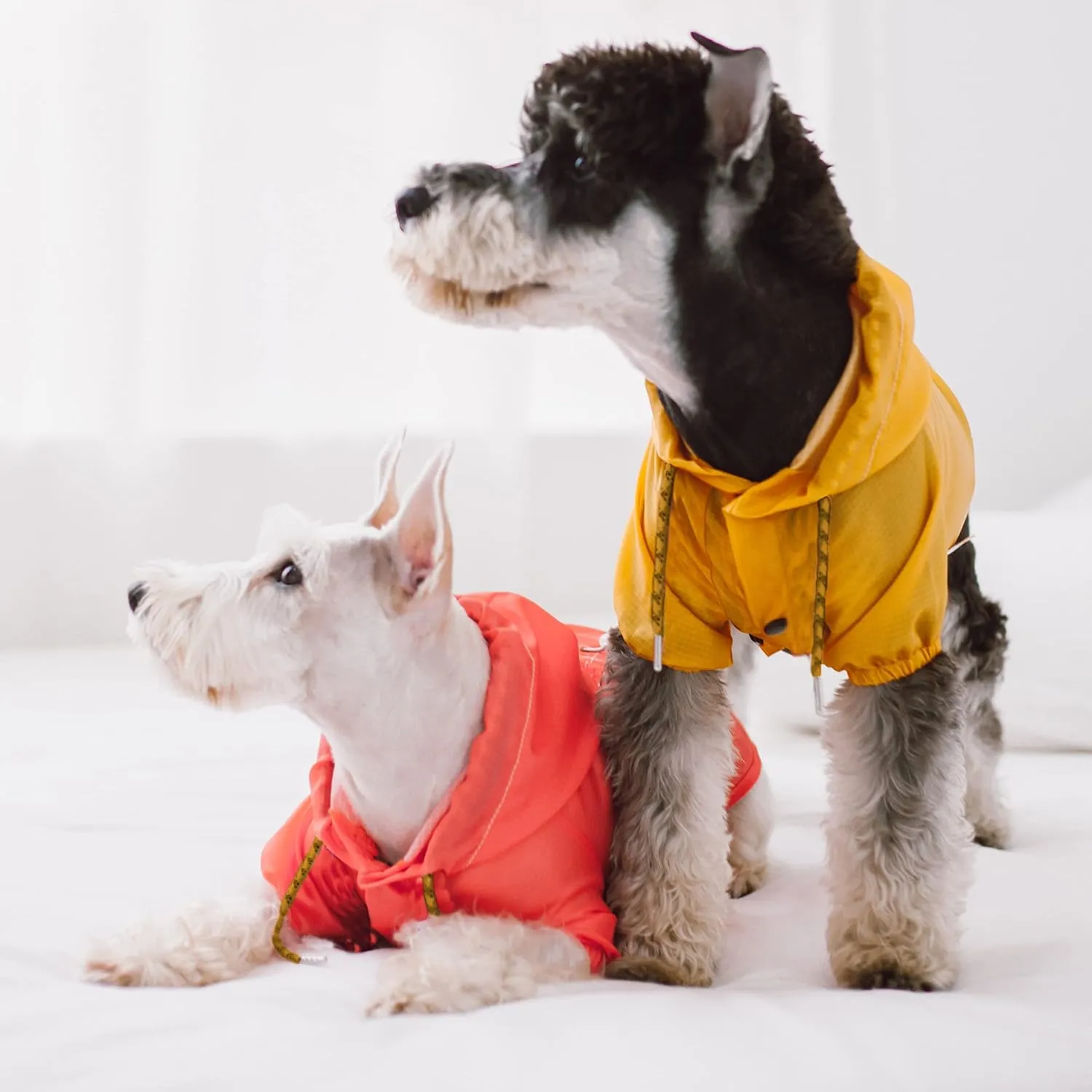 Touchdog 'Split-Vent' Lightweight Dog Raincoat Poncho - Waterproof Dog Coat with Adjustable Waist and Split-Vent - Pet Raincoat or Outdoor Dog Jacket with Built-in Adjustable Hood