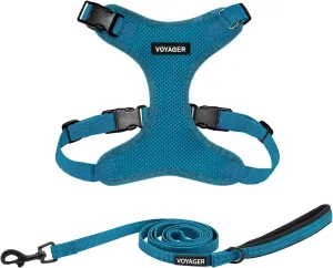 Voyager Step-in Lock Dog Harness w Reflective Dog Leash Combo Set with Neoprene Handle 5ft - Supports Small, Medium and Large Breed Puppies/Cats by Best Pet Supplies - Turquoise, S